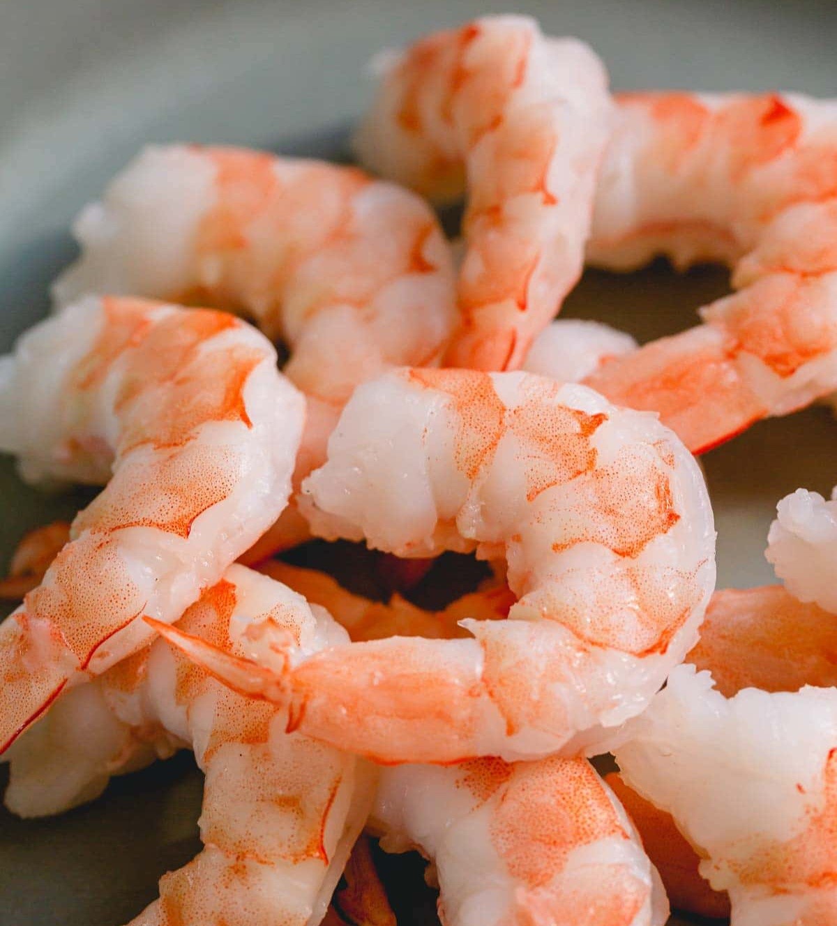 How to choose the best shrimp? Shrimps